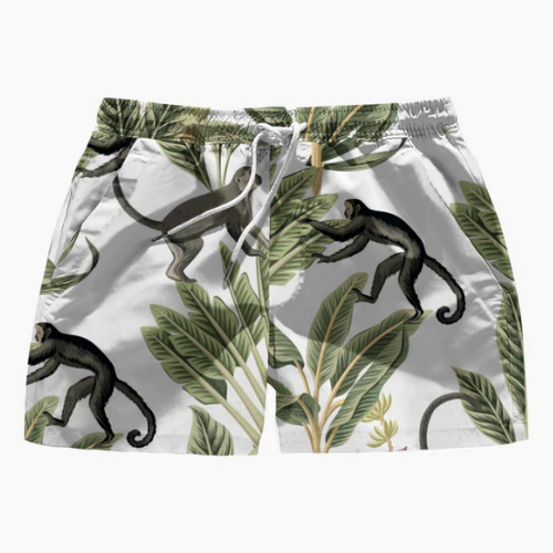 Ezra Swim Shorts